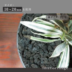 溶岩石砂利 黒 鉢植用 10-20mm 4.5...の詳細画像3
