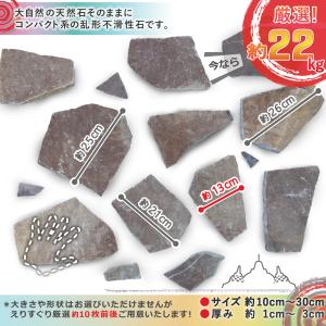 ステップストーン 飛び石 ジャワ鉄平石 22k...の詳細画像5