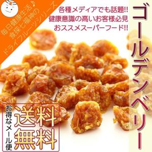 ゴールデンベリー インカベリー 全国送料無料 食探のドライフ...