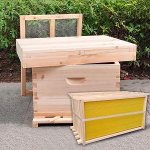 蜂の巣 ミツバチ 巣箱 ミツバチ養殖 蜂ハイブ 蜂蜜蜂の巣箱 養蜂箱 蜜蜂巣箱 ミツバチ飼育箱 耐久性のあります 標準的な7/10フレームハイブ 巣箱セット 防水 防｜stsyoten-store