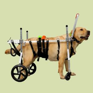 犬用車椅子 犬 車椅子 犬の歩行器 ペット車椅子 犬の車椅子4の車輪が大型の中のペットのフロントバックレッグフルサポート車椅子調節可能な犬カート (Size : Xl)｜stsyoten-store
