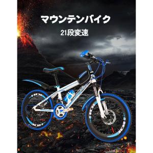 誕生日プレゼント 20/22/24インチ キッズバイク 3色 21段変速 マウンテンバイク MTB ...