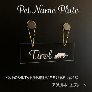 ペット ネームプレート アクリル スクエア 犬 猫 爬虫類｜studio-iroha