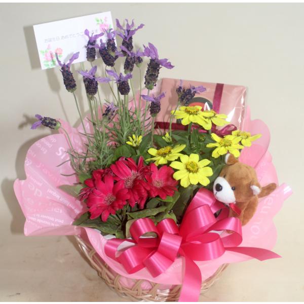 花鉢・観葉植物と長崎バウムクーヘン