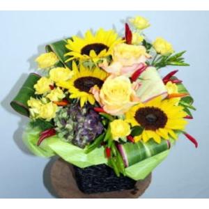 サンサンパリスタイル 　生花 アレンジ【地域限定送料無料】