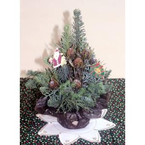 クリスマスツリーＳサイズ　クリスマストピアリー　生花　アレンジ　アレンジメント 裏白モミ オレゴン産...
