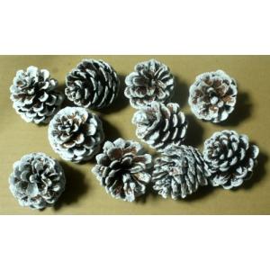 松笠W 白塗り 10ヶ入り リース クリスマス ...の商品画像