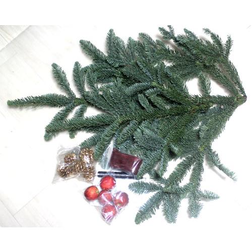 もみの木　フレッシュモミの木のクリスマスリースキット  クリスマスリース  手作りキット  生花 切...