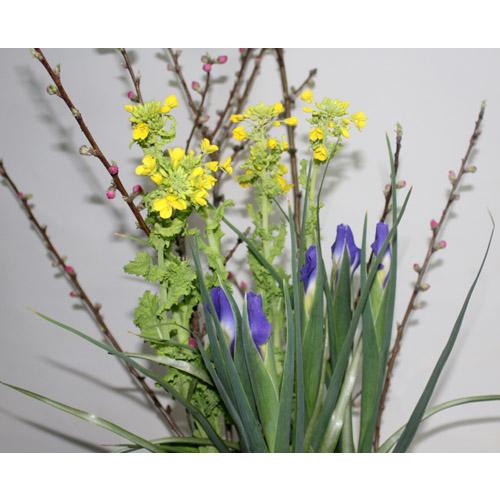 桃とアイリス　菜の花の　切花セット【切花 生花】【ひなまつり】【資材】アレンジ　アレンジメント　フラ...