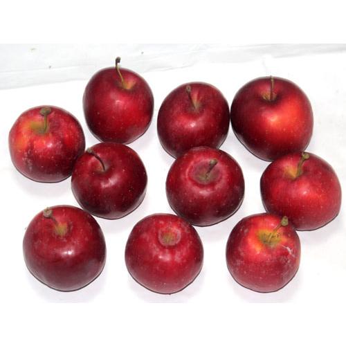 乙女りんご　姫リンゴ　オトメリンゴ10ヶセット リース クリスマス 資材 フラワーリ−ス　スワッグ