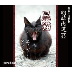 朗読街道(45)黒猫／エドガー・アラン・ポー(佐々木直次郎訳)｜studiospeak28