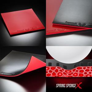 バタフライ（Butterfly） ディグニクス 05 卓球 ラケット ラバー 単品