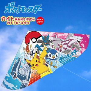 キャラクター カイト  ポケットモンスター ポケモン