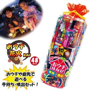 煙が少ない 手持ち 噴出 はなび おウチ 花火 バッグ 530116