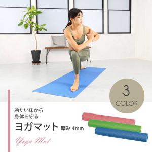TOEI LIGHT（トーエイライト） 法人限定 トレーニングマット