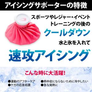 BODYMAKER ボディメーカー アイシング...の詳細画像1