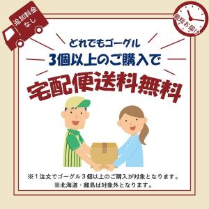 SWANS スワンズ ノンクッション 度付きレ...の詳細画像5