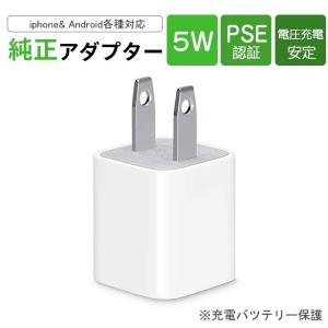 Apple 純正 A1357/MC359J/A 5.1V-2.1A 10W USB電源ACアダプタ iPod