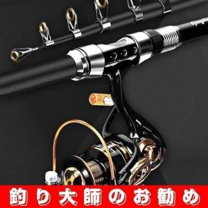 DAIWA（ダイワ） Daiwa（ダイワ）タナセンサーS-300DX / 【船用リール