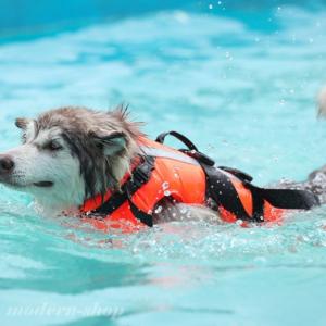 犬用ライフジャケット冷却ベスト冷感ベストペット...の詳細画像2