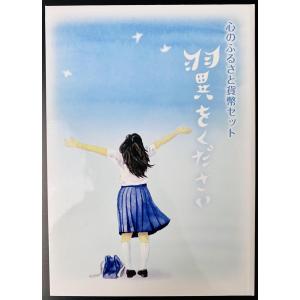 桜の通り抜け 平成5年 貨幣セット 花染衣（1993年） 純銀 メダル入り