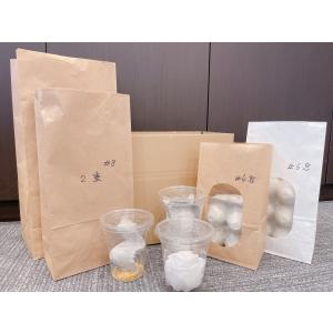 (活餌)(宅急便)SMサイズ30匹 ヨーロッパ...の詳細画像3