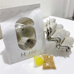 (活餌)(宅急便)PHサイズ50匹 ヨーロッパ...の詳細画像1