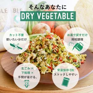 乾燥野菜 国産 ドライベジ 100gお試しサイ...の詳細画像5