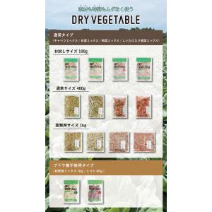 通常サイズ 400g 乾燥野菜 国産 DRYV...の詳細画像1