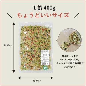 通常サイズ 400g 乾燥野菜 国産 DRYV...の詳細画像4