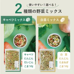 通常サイズ 400g 乾燥野菜 国産 DRYV...の詳細画像5