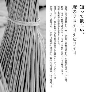 野州麻炭 100%麻炭パウダー60g 国産 b...の詳細画像5