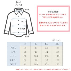 売り尽くし PARIS 16e シャツ ブラウ...の詳細画像4