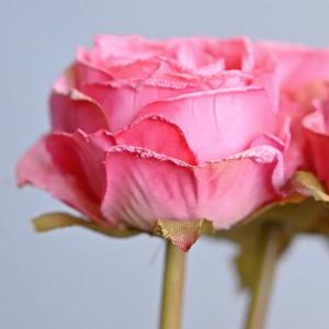 造花 薔薇 (ピンク587) 花束 7本セット...の詳細画像4