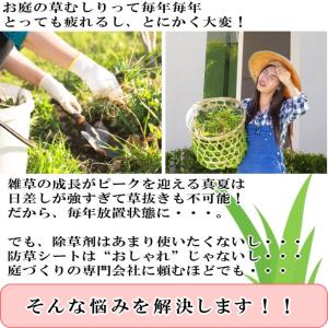レンガ貼り 防草シート レンガ 庭 タイル 置...の詳細画像1