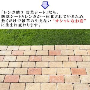 レンガ貼り 防草シート 付き レンガ 庭 タイ...の詳細画像2