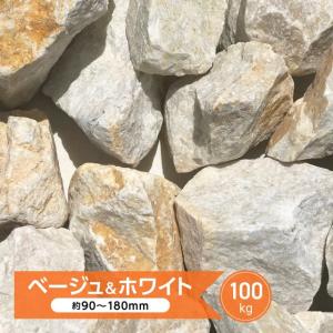 10 増量中 庭石 クラッシュロック カナリアピンクlサイズ 22kg入り 約150 250mm 庭石 ロックガーデン 自然石 Gd Crashpink L 石材のことならstクラフト 通販 Yahoo ショッピング