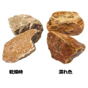 庭石 ロックガーデン 石 割栗石 イエローブラ...の詳細画像4