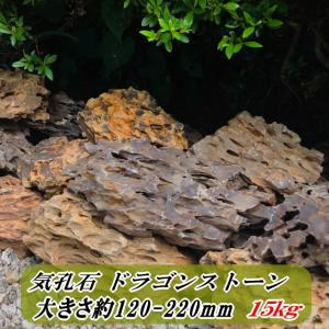 庭石 庭 石 気孔石 ドラゴンストーン 龍の石 約120-250mm