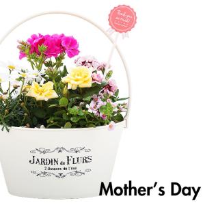 花 寄せ植え プランターの商品一覧 通販 Yahoo ショッピング