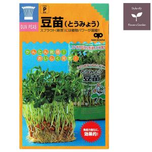 スプラウト 種 豆苗(とうみょう) 話題のタネを...の商品画像
