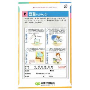 スプラウト 種 豆苗(とうみょう) 話題のタネ...の詳細画像1
