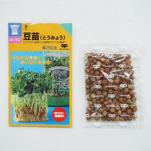 スプラウト 種 豆苗(とうみょう) 話題のタネ...の詳細画像2
