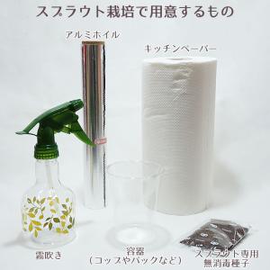 スプラウト 種 豆苗(とうみょう) 話題のタネ...の詳細画像4