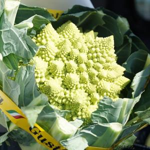 野菜のタネ ダ・ヴィンチ(カリフラワー) イタ...の詳細画像2