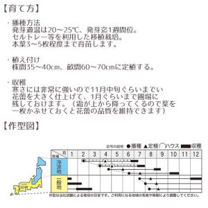 野菜のタネ ダ・ヴィンチ(カリフラワー) イタ...の詳細画像3