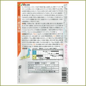 野菜のタネ カーボロネロ(キャベツ) イタリア...の詳細画像1