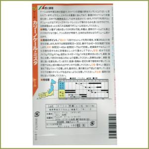 野菜のタネ カリノケール・ミスタ(ケール) イ...の詳細画像1