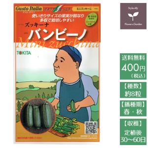 野菜のタネ　バンビーノ（ズッキーニ）　イタリアの珍しい種をでお届け!!