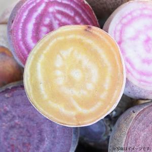 野菜のタネ ルナ(ビート) イタリアの珍しい種...の詳細画像2